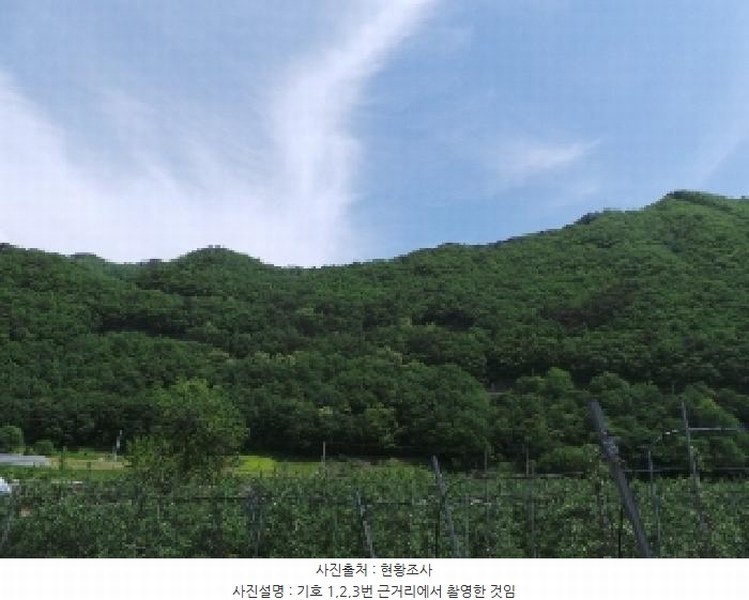 2025타경30470 강원특별자치도 정선군 화암면 화암리 605 임야 경매 이미지