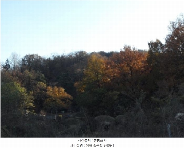 2025타경3712 경상북도 고령군 다산면 송곡리 산89-1 임야 경매 이미지