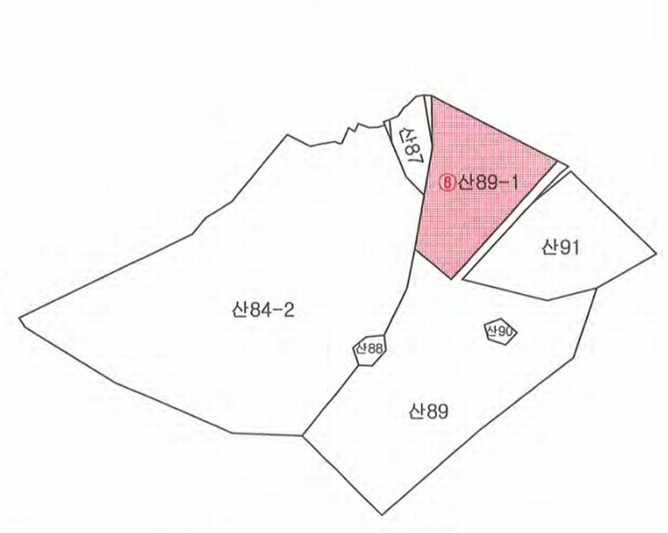 2025타경3712 경상북도 고령군 다산면 송곡리 산89-1 임야 경매 이미지
