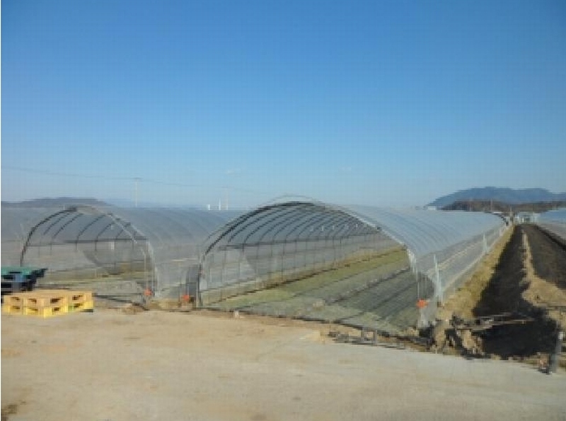 2025타경3712 경상북도 고령군 다산면 호촌리 382-8 농지 경매 이미지