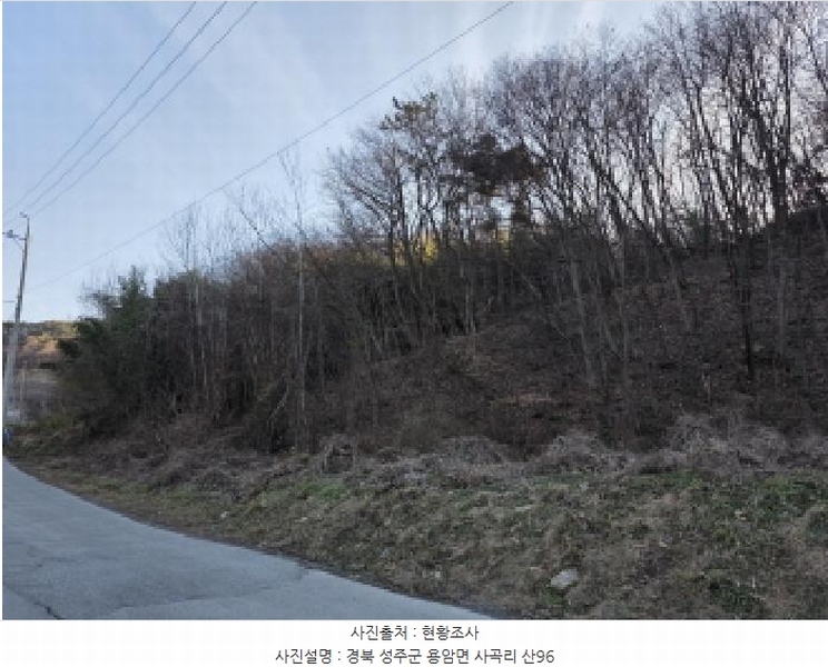 2025타경3712 경상북도 성주군 용암면 사곡리 산96 임야 경매 이미지
