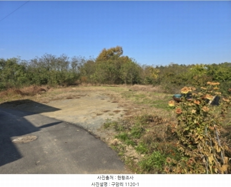 2024타경124011 경상북도 영천시 금호읍 구암리 1120-1 농지 경매 이미지