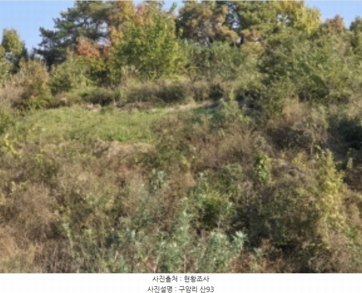 2024타경124011 경상북도 영천시 금호읍 구암리 산93 임야 경매 이미지