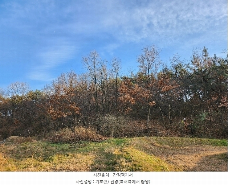 2024타경124011 경상북도 영천시 금호읍 구암리 산93 임야 경매 이미지