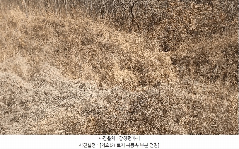 2025타경10817 경상북도 구미시 신동 568-1 유지 경매 이미지