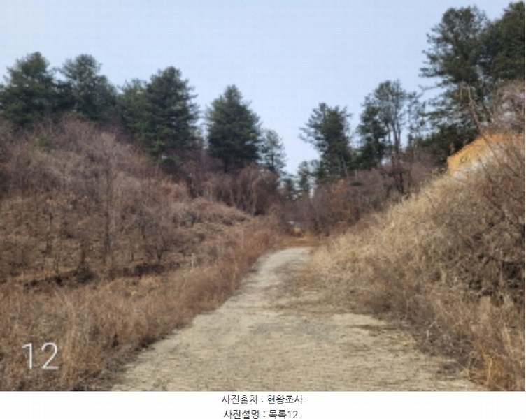2024타경226 경기도 양평군 단월면 명성리 산166-7 임야 경매 이미지