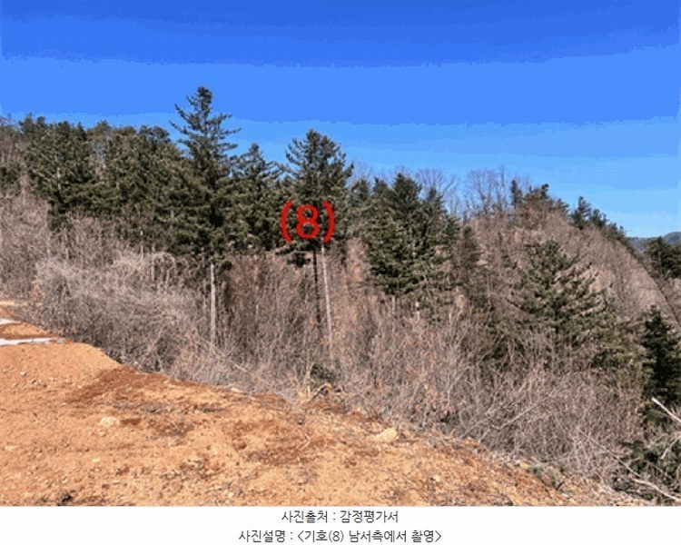 2024타경226 경기도 양평군 단월면 명성리 산166-7 임야 경매 이미지