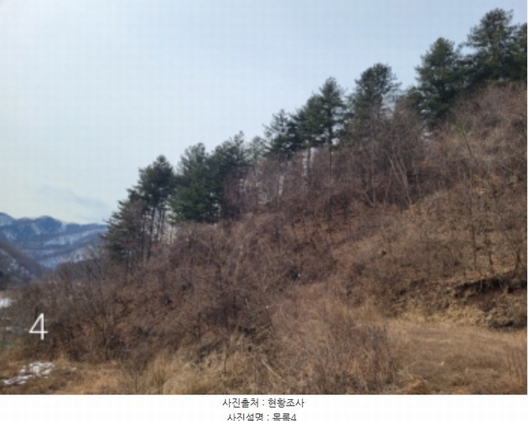 2024타경226 경기도 양평군 단월면 명성리 산166-7 임야 경매 이미지