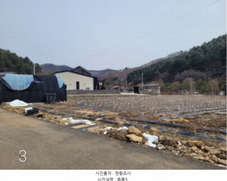 2024타경226 경기도 양평군 단월면 명성리 555 농지 경매 이미지