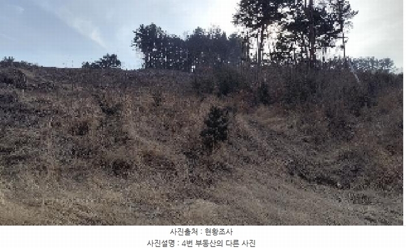 2025타경252 충청남도 보령시 내항동 산59-7 임야 경매 이미지