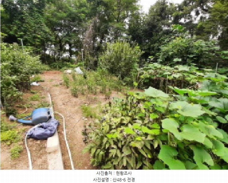 2025타경617 서울특별시 강서구 등촌동 산48-6 임야 경매 이미지