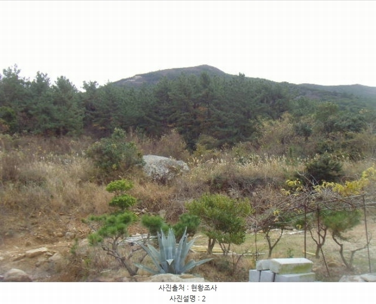 2024타경55184 전라남도 완도군 보길면 정자리 산75-2 임야 경매 이미지