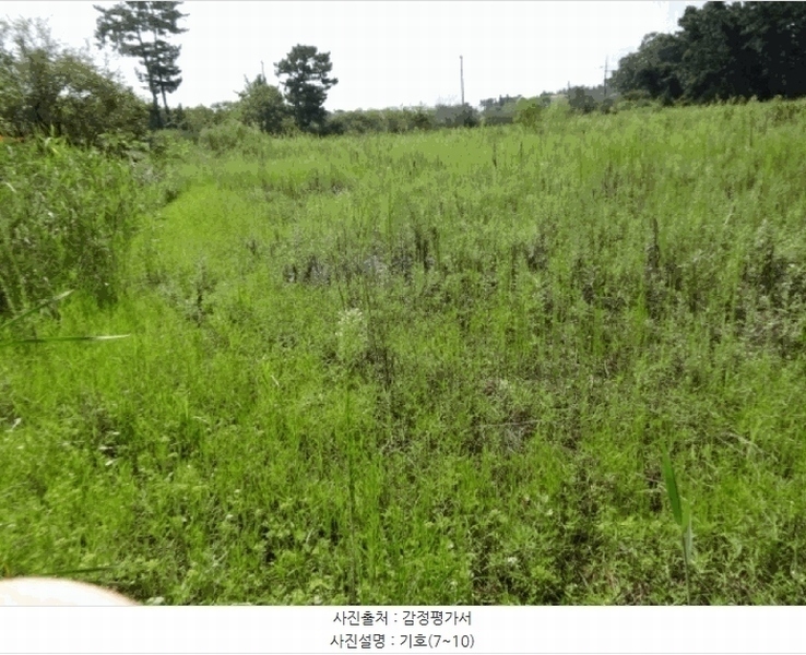 2025타경53116 경기도 안산시 단원구 대부남동 46 농지 경매 이미지