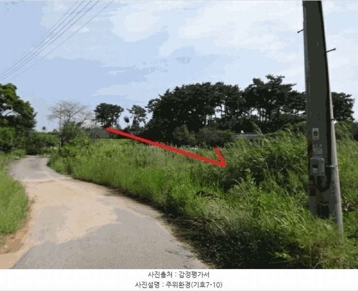 2025타경53116 경기도 안산시 단원구 대부남동 46 농지 경매 이미지