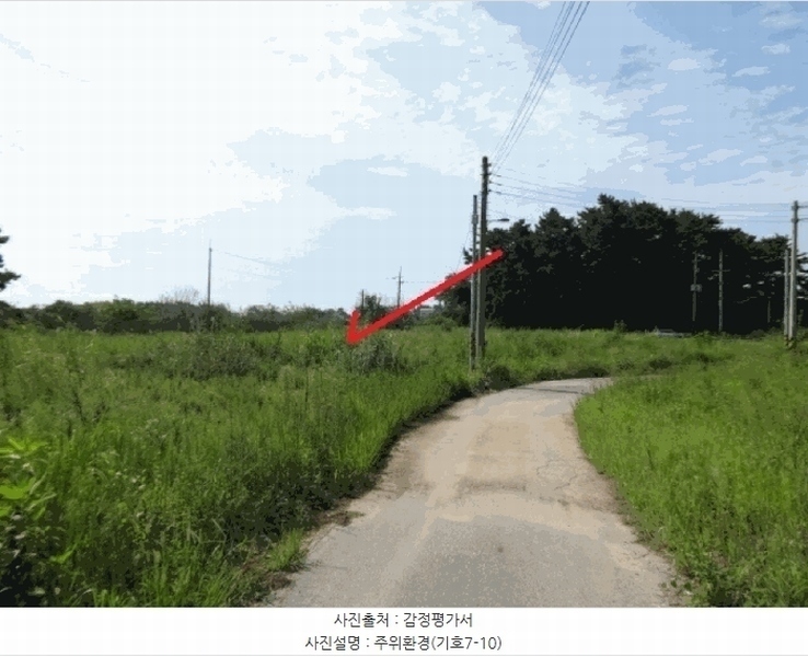 2025타경53116 경기도 안산시 단원구 대부남동 46 농지 경매 이미지
