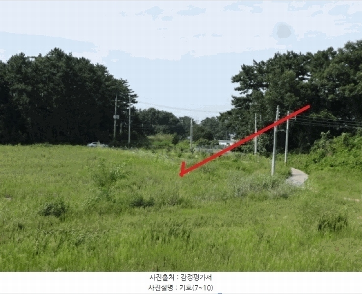 2025타경53116 경기도 안산시 단원구 대부남동 46 농지 경매 이미지
