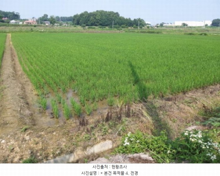 2025타경665 경기도 평택시 오성면 양교리 571-1 농지 경매 이미지