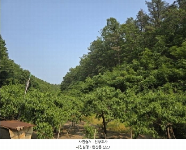 2025타경8058 경상북도 영천시 완산동 산23 임야 경매 이미지