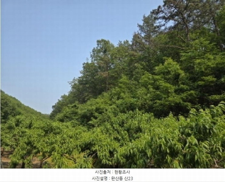 2025타경8058 경상북도 영천시 완산동 산23 임야 경매 이미지