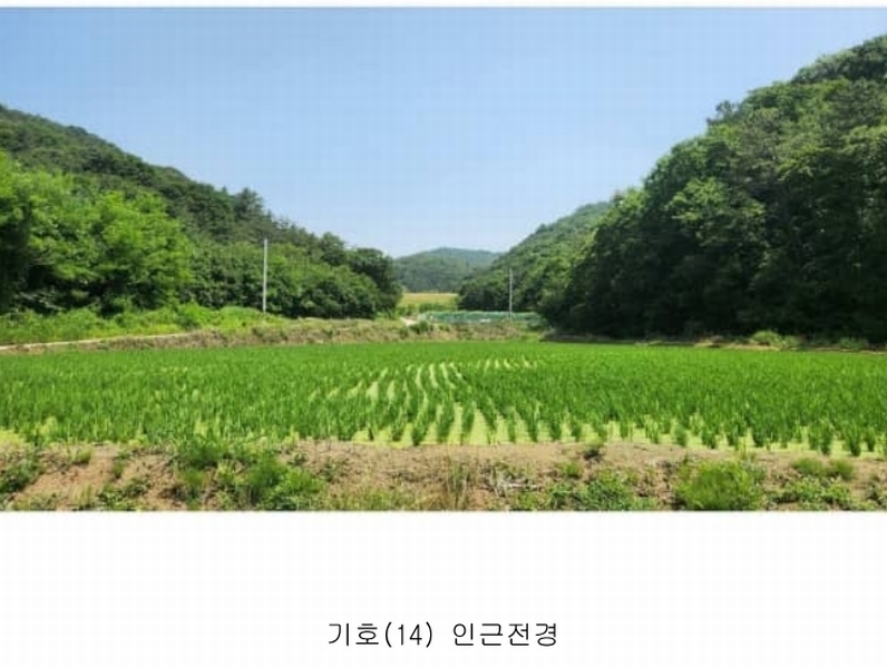 2025타경11803 충청남도 아산시 염치읍 대동리 산13-1 임야 경매 이미지