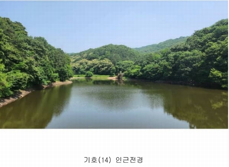 2025타경11803 충청남도 아산시 염치읍 대동리 산13-1 임야 경매 이미지