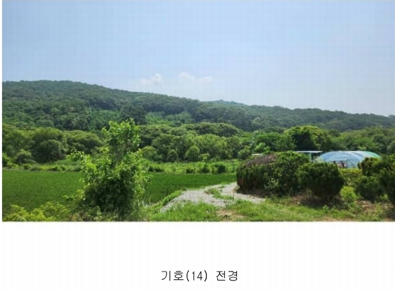 2025타경11803 충청남도 아산시 염치읍 대동리 산13-1 임야 경매 이미지