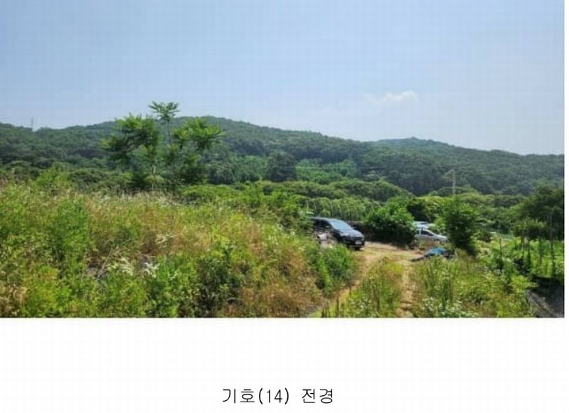 2025타경11803 충청남도 아산시 염치읍 대동리 산13-1 임야 경매 이미지