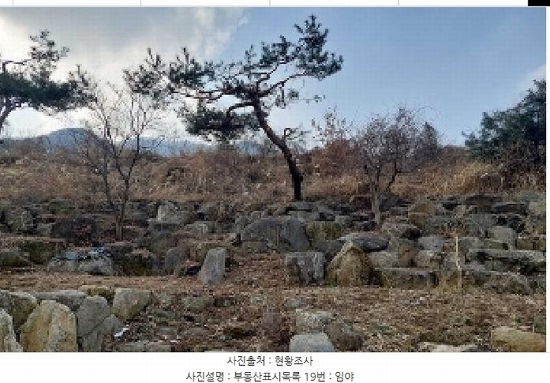 2025타경11803 충청남도 아산시 배방읍 수철리 101-2 종교시설 경매 이미지