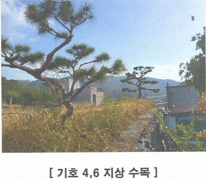 2024타경60954 전라남도 순천시 상사면 비촌리 106-22 임야 경매 이미지