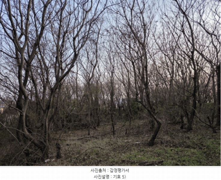2025타경725 전라남도 여수시 율촌면 조화리 70-16 농지 경매 이미지