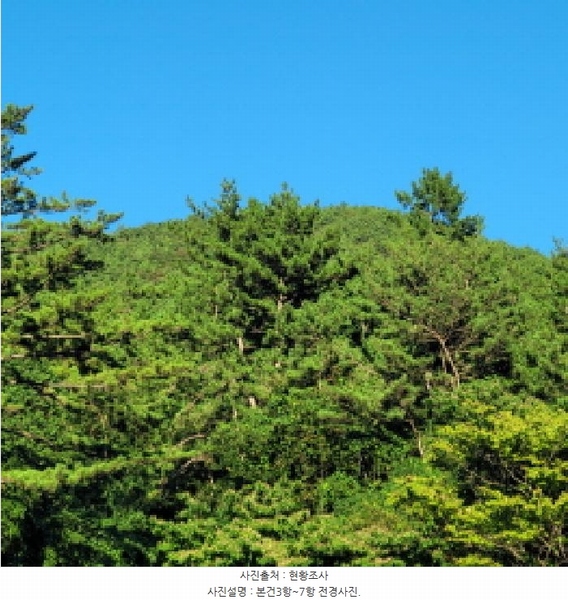 2025타경51883 전라남도 여수시 돌산읍 금봉리 산572 임야 경매 이미지