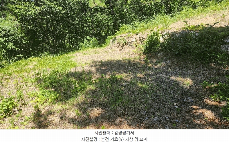 2025타경51883 전라남도 여수시 돌산읍 금봉리 산572 임야 경매 이미지