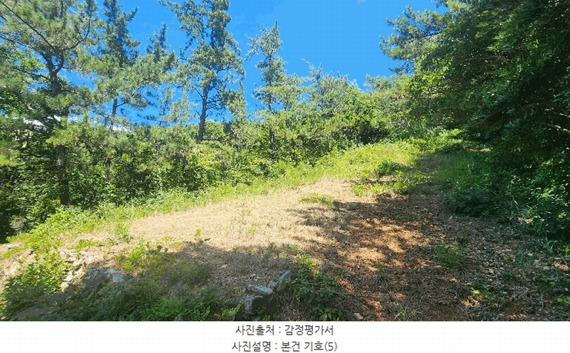 2025타경51883 전라남도 여수시 돌산읍 금봉리 산572 임야 경매 이미지