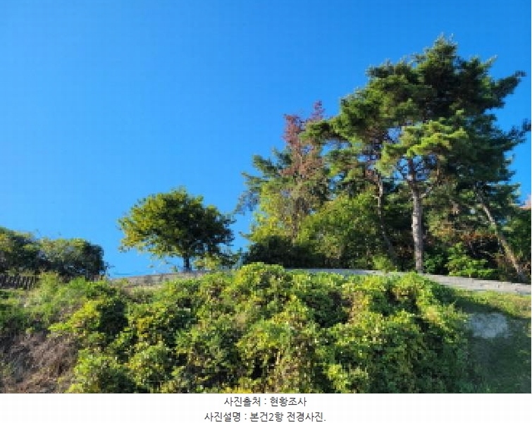 2025타경52166 전라남도 여수시 화양면 나진리 산96-13 임야 경매 이미지