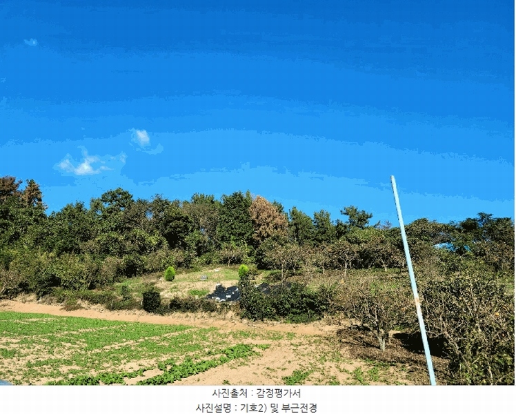 2025타경52166 전라남도 여수시 화양면 나진리 산96-13 임야 경매 이미지