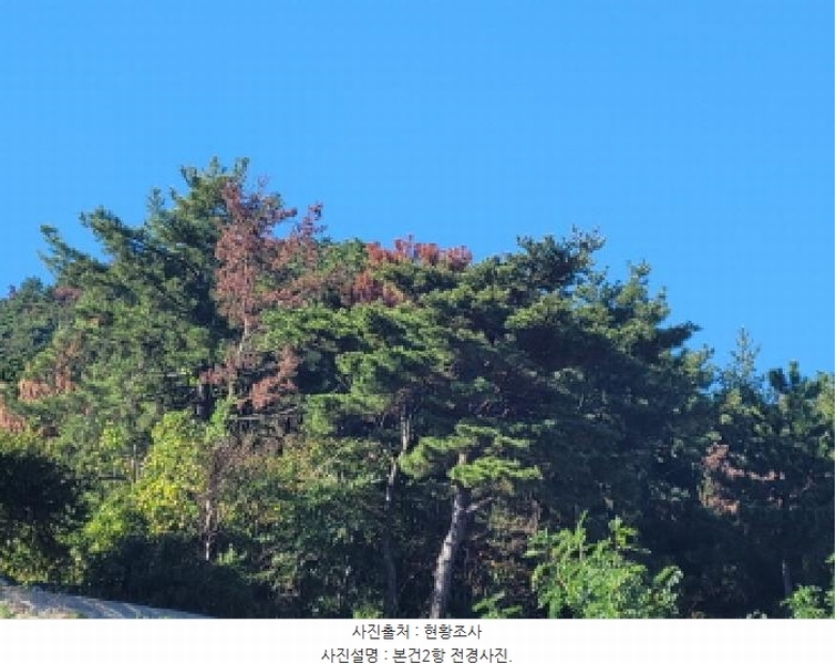 2025타경52166 전라남도 여수시 화양면 나진리 산96-13 임야 경매 이미지