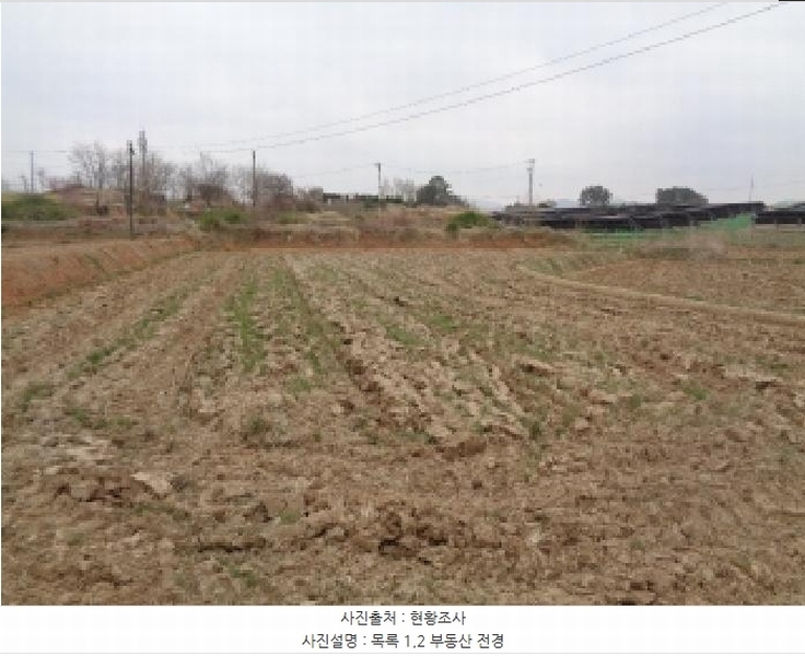2025타경591 전북특별자치도 김제시 봉남면 행촌리 418 농지 경매 이미지