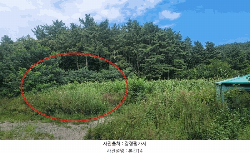 2025타경10332 강원특별자치도 양양군 손양면 도화리 34 농지 경매 이미지