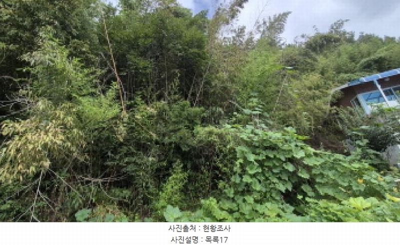 2025타경10332 강원특별자치도 양양군 손양면 도화리 34 농지 경매 이미지