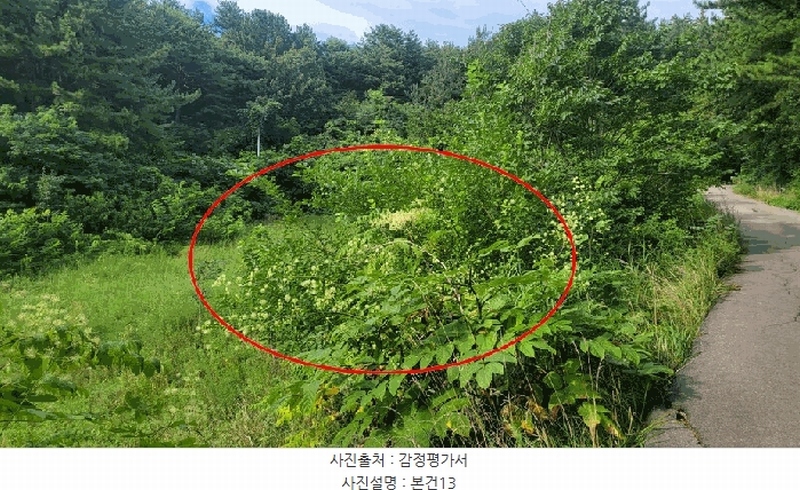 2025타경10332 강원특별자치도 양양군 손양면 도화리 34 농지 경매 이미지