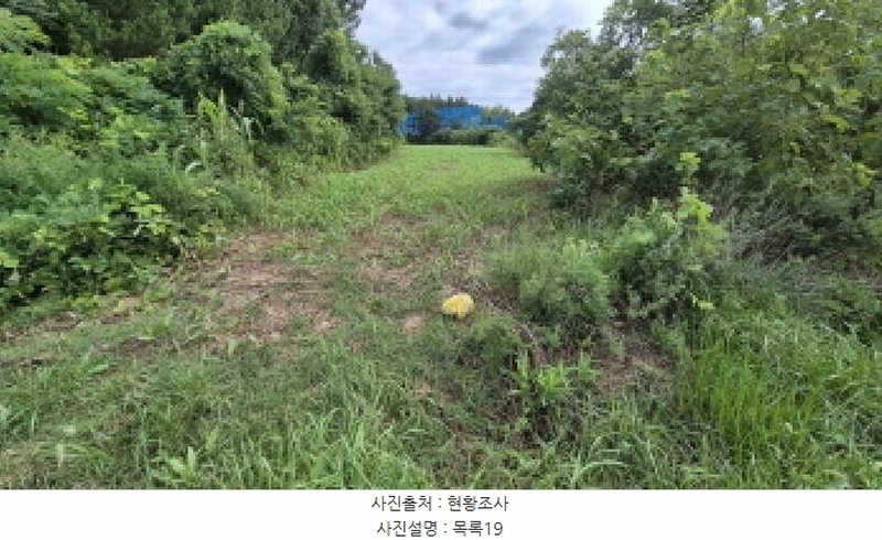 2025타경10332 강원특별자치도 양양군 손양면 도화리 34 농지 경매 이미지