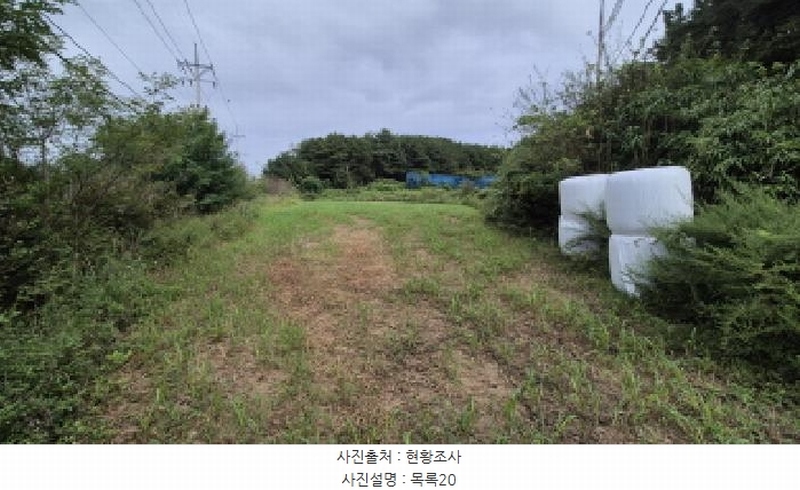 2025타경10332 강원특별자치도 양양군 손양면 도화리 34 농지 경매 이미지