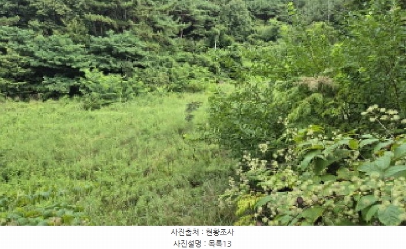 2025타경10332 강원특별자치도 양양군 손양면 도화리 34 농지 경매 이미지