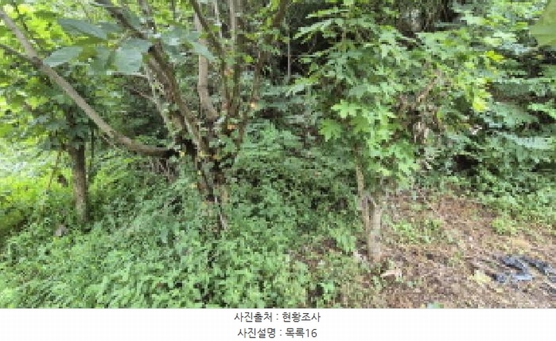 2025타경10332 강원특별자치도 양양군 손양면 도화리 10 농지 경매 이미지