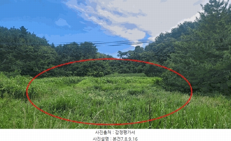 2025타경10332 강원특별자치도 양양군 손양면 도화리 10 농지 경매 이미지