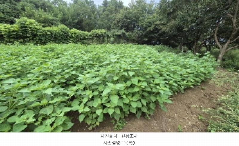 2025타경10332 강원특별자치도 양양군 손양면 도화리 10 농지 경매 이미지