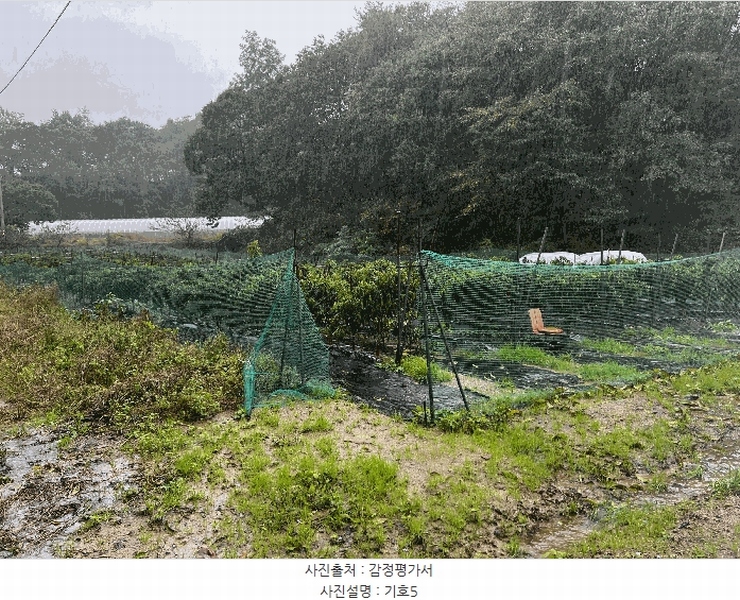 2025타경10356 강원특별자치도 고성군 간성읍 상리 379-5 농지 경매 이미지