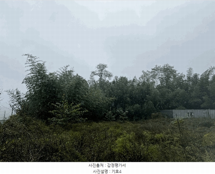 2025타경10356 강원특별자치도 고성군 간성읍 상리 379-5 농지 경매 이미지