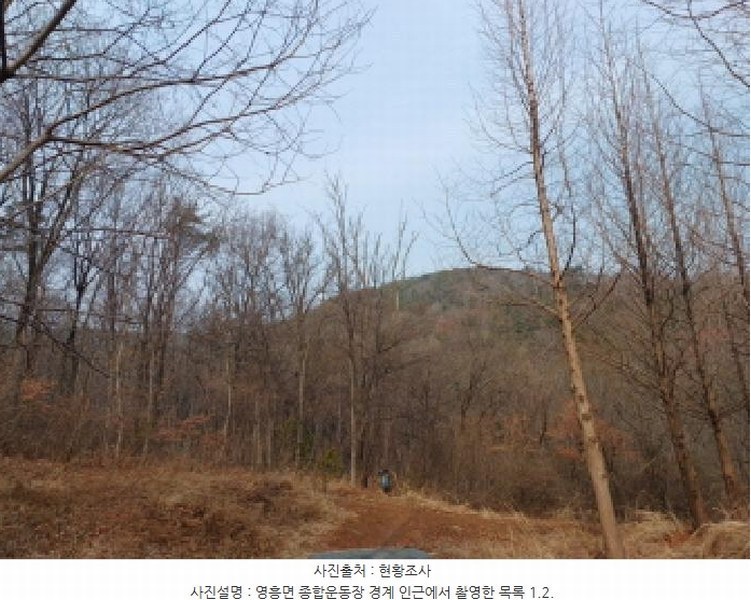 2025타경507333 인천광역시 옹진군 영흥면 내리 산336-2 임야 경매 이미지