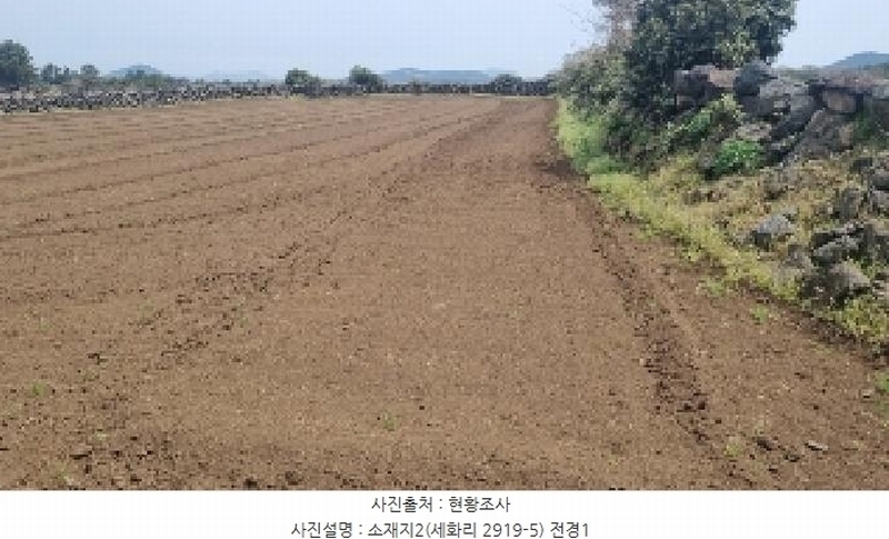 2025타경1071 제주특별자치도 제주시 구좌읍 세화리 2919-5 임야 경매 이미지